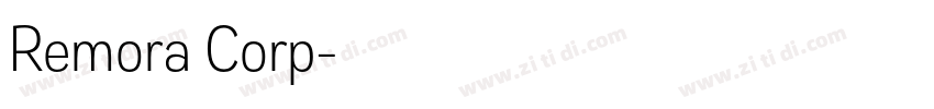 Remora Corp字体转换